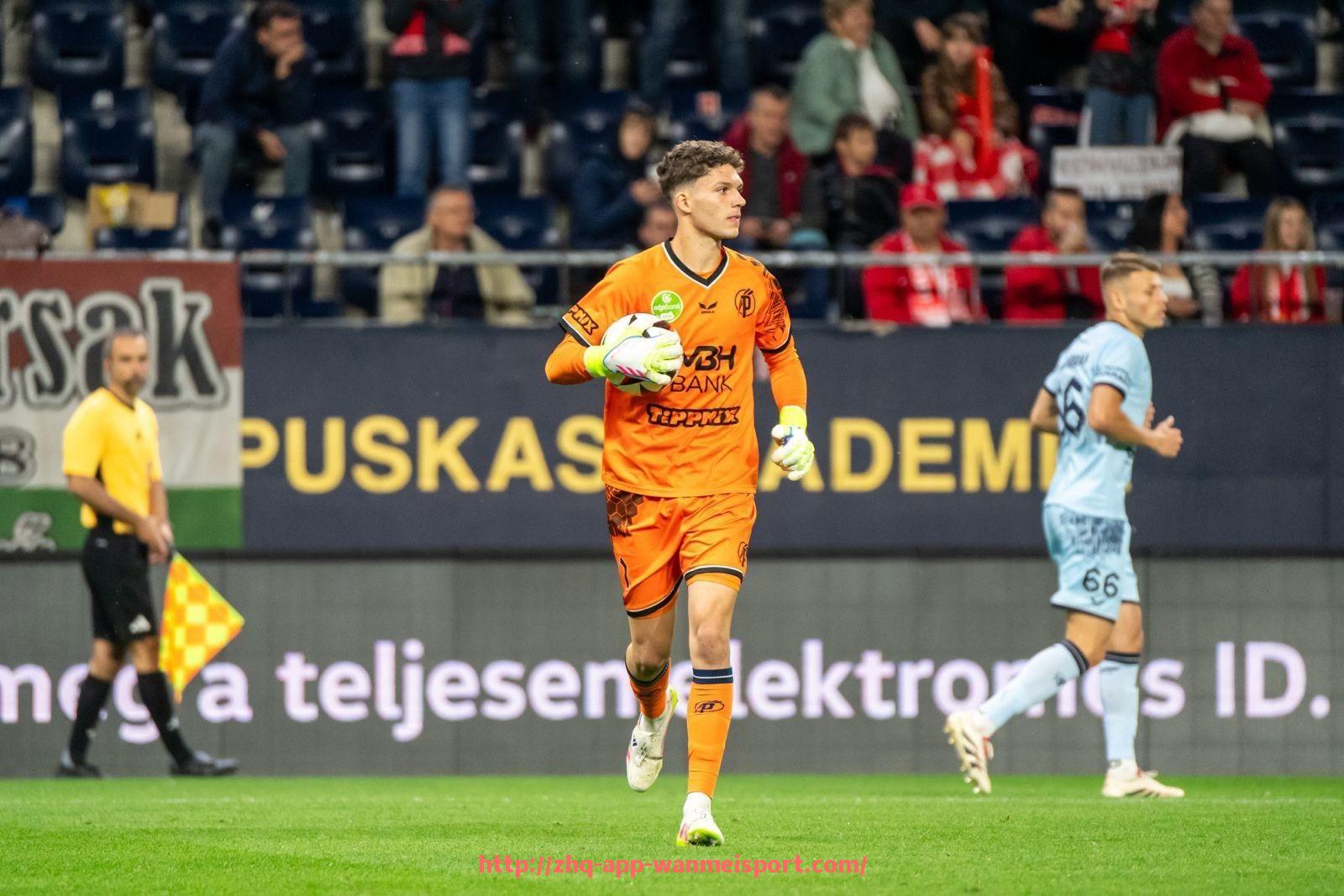 完美体育官方入口-波兰球员德甲转会历史：哪些球队青睐东欧力量？